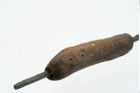 Foto von Beinnadelspitzenschoner (NHMW-PRAE-026078)